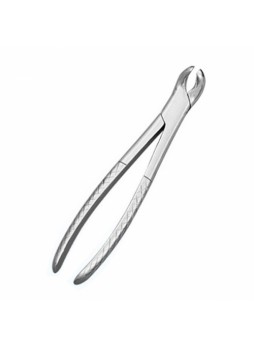 Growing Tooth Forceps (SS)